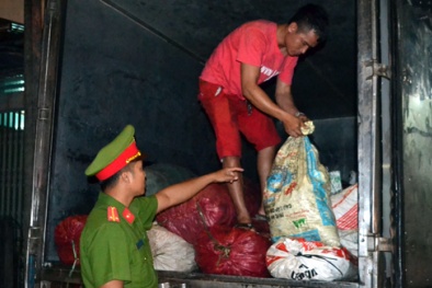 Tiêu hủy 2,3 tấn mỡ động vật hôi thối đang vận chuyển vào TP HCM để tiêu thụ