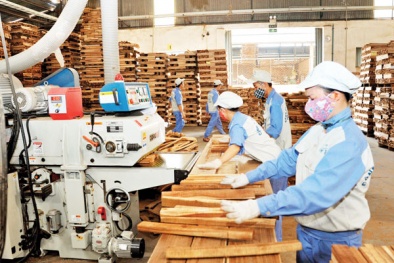 Tuyên Quang: Tín hiệu tích cực từ chương trình nâng cao năng suất, chất lượng