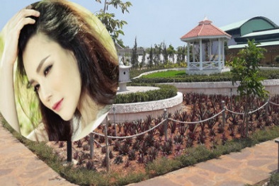 Ca sĩ Hồ Quỳnh Hương bị phạt vì xây dựng trái phép