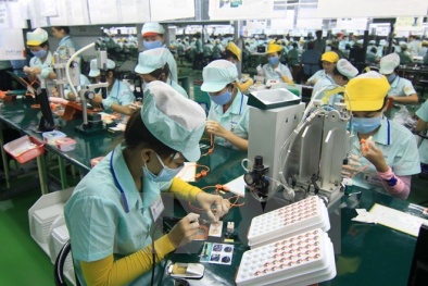 Việt Nam trước ngưỡng cửa CPTPP: Chất lượng nguồn nhân lực là 'sống còn'