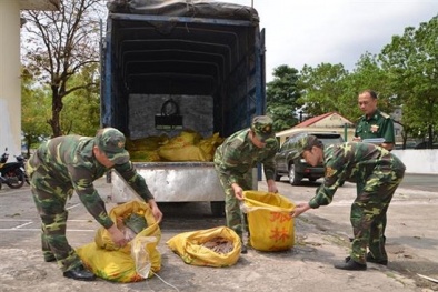 Quảng Ninh: Bắt quả tang xe ô tô vận chuyển 300kg chân gà trong quá trình phân hủy