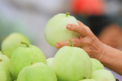 Mua dưa lê đầu mùa cần biết những điều này để tránh ‘rước họa vào thân’