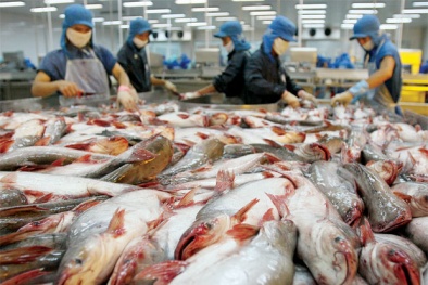 EU rút 'thẻ vàng' đối với thủy sản - Phải thích nghi các tiêu chuẩn cao