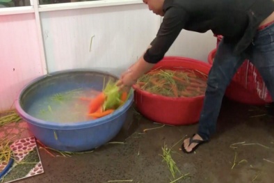 Kinh hoàng quy trình tẩy rửa củ cải, cà rốt bằng hóa chất