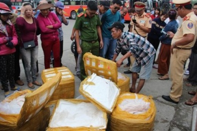 Thừa thiên-Huế: Gần 500 kg heo sữa hôi thối đang trên đường đến 'bàn ăn'
