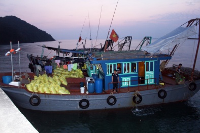 Quảng Ninh: Bắt giữ 8 tàu khai thác hơn 5 tấn thủy sản trái phép