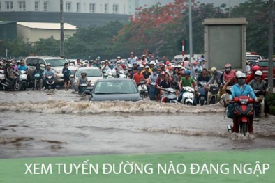 Hà Nội ứng dụng công nghệ cảnh báo ngập lụt trên điện thoại