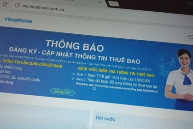 Không cần ra đường bạn vẫn có thể bổ sung thông tin thuê bao Vinaphone