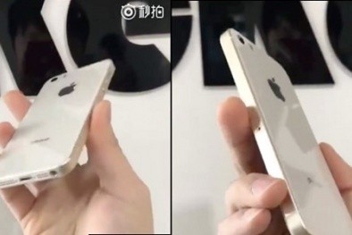 Lộ diện chiếc iPhone SE 2 với tính năng sạc không dây