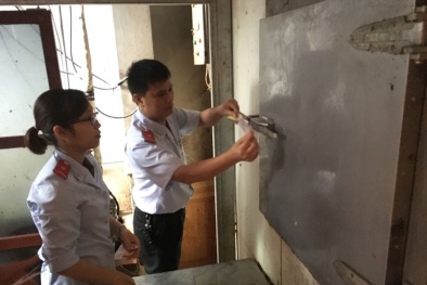 Hà Nội: Gần 1 tấn thịt gà không rõ nguồn gốc bị phát hiện