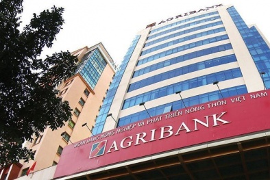 Ngân hàng Nhà nước lên tiếng về vụ khách hàng Agribank mất tiền trong đêm