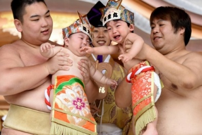 Độc đáo lễ hội Sumo dọa trẻ em có lịch sử hơn 400 năm ở Nhật Bản
