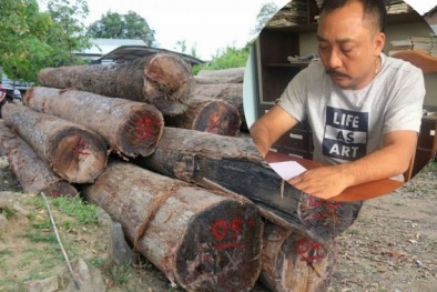 Trùm buôn lậu gỗ Phượng ‘râu’ giàu ‘khủng’, tài sản hàng chục tỷ, nhà toàn gỗ quý
