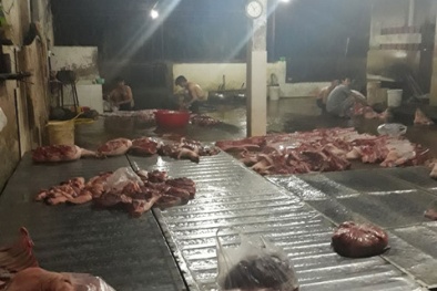 Đồng Nai: Phát hiện 2 cơ sở giết mổ heo trái phép, không đảm bảo vệ sinh thú y
