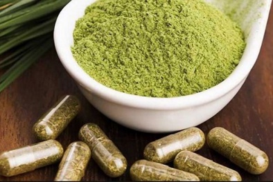 Hoa Kỳ: Sản phẩm kratom gây nguy hiểm, thậm chí gây tử vong cho người dùng