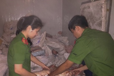Nghệ An: Phát hiện kho hàng đông lạnh chứa 4.580 kg thực phẩm không rõ nguồn gốc