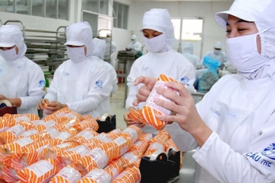 Chuyên gia: Tiêu chuẩn và chất lượng là sự sống còn cho xuất khẩu