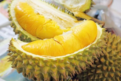 Cách chọn sầu riêng hạt lép, múi vàng siêu ngon