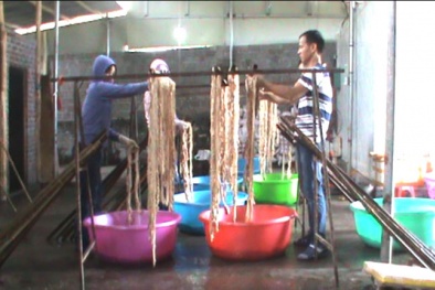 Quảng Ninh: Bắt quả tang cơ sở chế biến hơn 1 tấn lòng lợn không đảm bảo vệ sinh