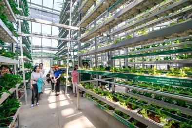 Độc đáo mô hình du lịch, nông nghiệp 5 sao đầu tiên của Việt Nam
