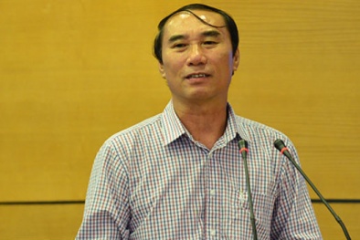 'Trong năm nay và sang năm chưa có loại thuế tài sản'