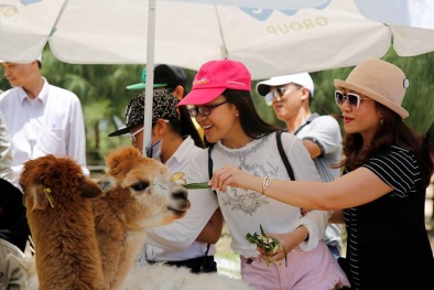 Tưng bừng Tết thiếu nhi tại chuỗi FLC Hotel & Resort