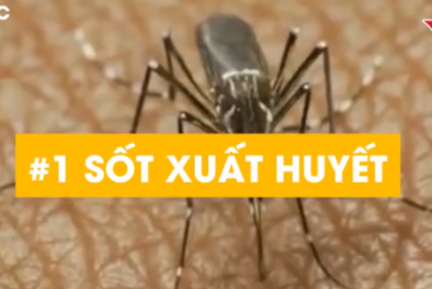 Làm sao tránh những bệnh nguy hiểm dễ tấn công trẻ ngày hè?