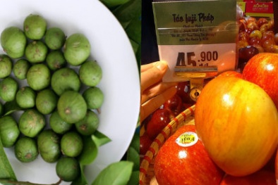 Trái sấu đầu mùa đắt hơn cả hoa quả nhập khẩu