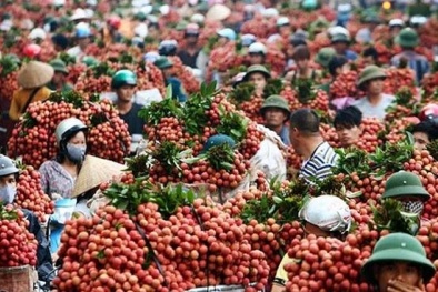 Công nghệ sẽ ‘chắp cánh’ cho nông sản Việt vươn ra thế giới