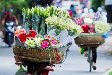 Mùa sen Hà thành - gánh hàng rong kiếm tiền triệu mỗi ngày nhờ thú chơi tao nhã