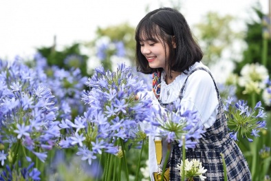 Người Hà Nội rủ nhau trốn nóng ở thành phố trong mây