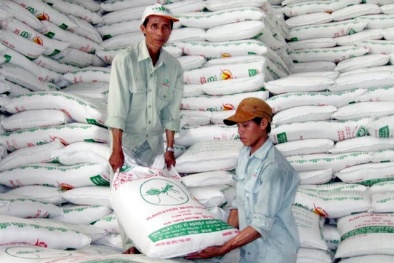 Hậu Giang: Nâng cao năng suất chất lượng DN và hàng hóa chủ lực