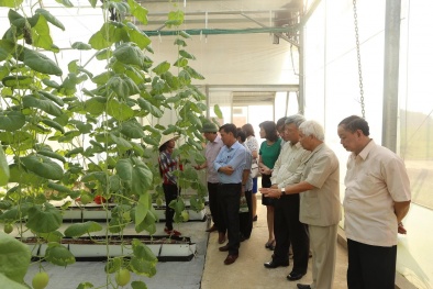 KH&CN thúc đẩy phát triển nông nghiệp công nghiệp hóa hành lang đường HCM vùng Bắc Trung Bộ