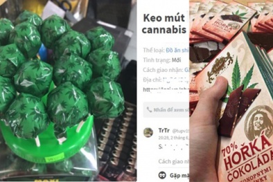 Phó Thủ tướng Vũ Đức Đam: Xử lý nghiêm 'kẹo mút cần sa' rao bán trên mạng Phó Thủ tướng Vũ Đức Đam: Xử lý nghiêm 'kẹo mút cần sa' rao bán trên mạng