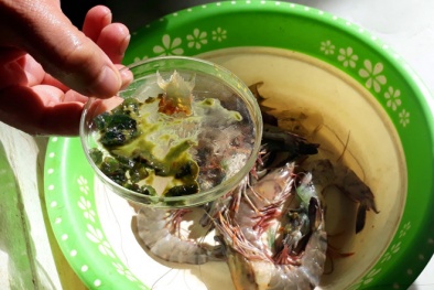 Chủ cơ sở bơm tạp chất độc hại vào tôm ở Thanh Hóa khai gì?