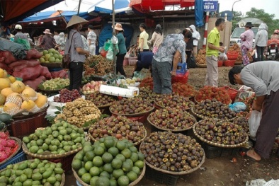 Kiểm soát chất lượng sản phẩm tại chợ đầu mối còn nhiều lỗ hổng
