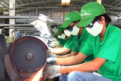 Áp dụng tích hợp hệ thống quản lý, công cụ cải tiến năng suất chất lượng trong doanh nghiệp