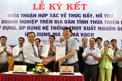 Doanh nghiệp Thừa Thiên Huế được hỗ trợ truy xuất nguồn gốc, ứng dụng mã số mã vạch