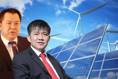 Góc khuất của đại gia chi 5.000 tỷ làm dự án điện mặt trời lớn nhất Việt Nam