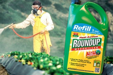 Vụ kiện thuốc diệt cỏ Roundup của Monsanto sẽ được xét xử tại Mỹ