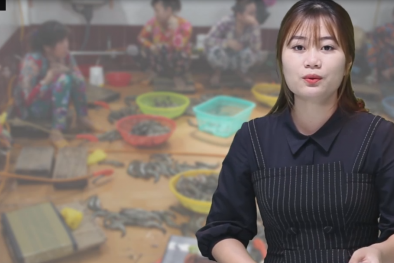 Phạt gần 600 triệu vì bơm tạp chất vào 1,6 tấn tôm