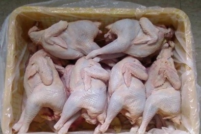 Gà mái không đầu, không chân siêu rẻ 40.000 đồng/kg có an toàn?