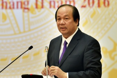 Triển khai Nghị quyết 19: Ngang trái chuyện cà phê sữa cũng phải bóc vỏ 'kiểm dịch'