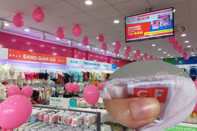 Vụ Con Cưng: Sai phạm đến đâu sẽ xử lý đến đó!