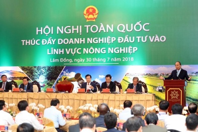 Thủ tướng: Việt Nam sẽ là một trung tâm chế biến của nông nghiệp thế giới
