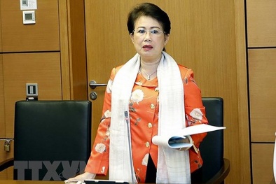 Vì sao chồng cựu Phó bí thư Đồng Nai Phan Thị Mỹ Thanh bị công an điều tra?