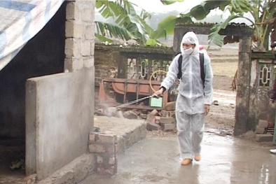 Nguy cơ dịch bệnh mùa mưa lũ đe dọa sức khỏe người dân