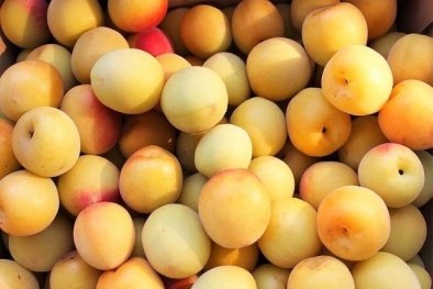 Giới nhà giàu Việt lại lên cơn ‘sốt’ săn mận xách tay có giá gần triệu/kg