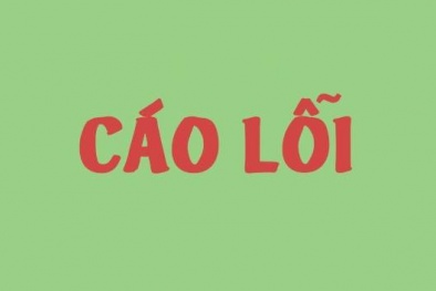 Chất lượng Việt Nam Online đính chính và cáo lỗi
