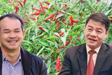 Bầu Đức nói về 'mối lương duyên' với Trường Hải: 3 năm thôi sự hợp tác này sẽ thành 'vô đối'!